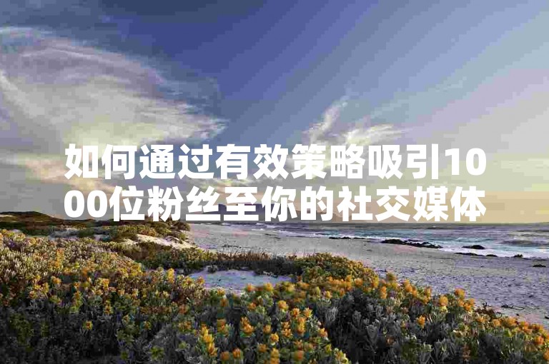 如何通过有效策略吸引1000位粉丝至你的社交媒体平台