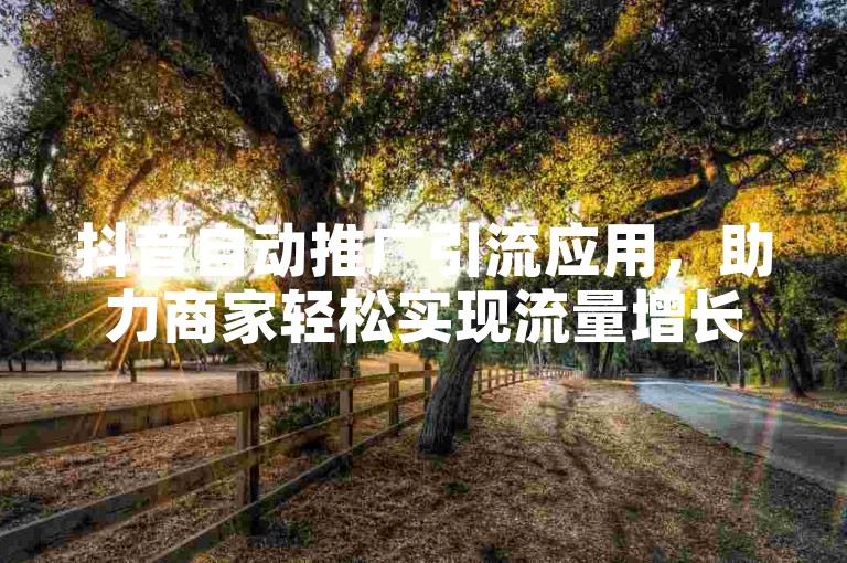 抖音自动推广引流应用，助力商家轻松实现流量增长与品牌曝光。
