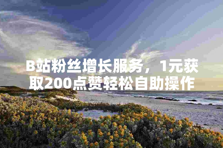 B站粉丝增长服务，1元获取200点赞轻松自助操作。