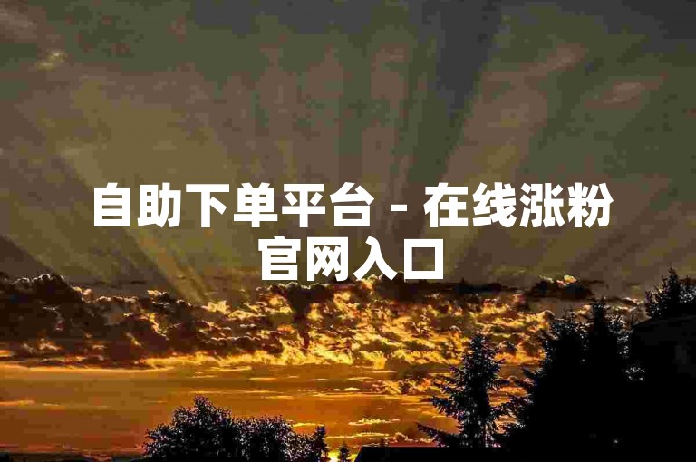 自助下单平台 - 在线涨粉官网入口
