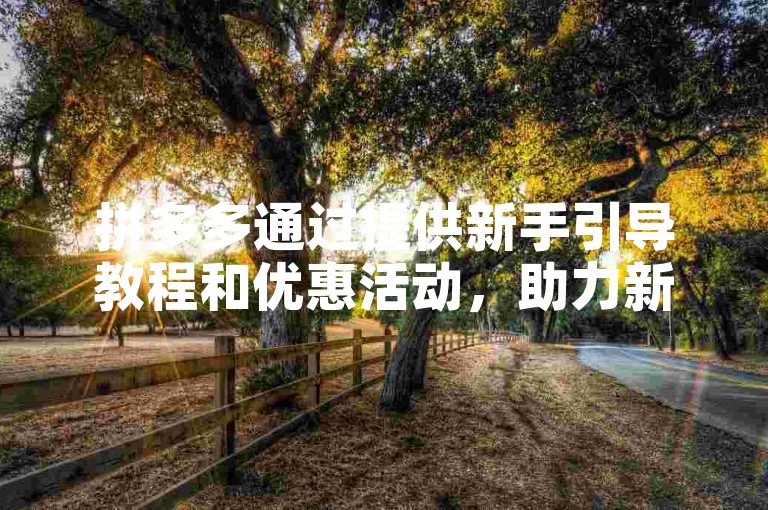拼多多通过提供新手引导教程和优惠活动，助力新用户轻松完成购物流程。
