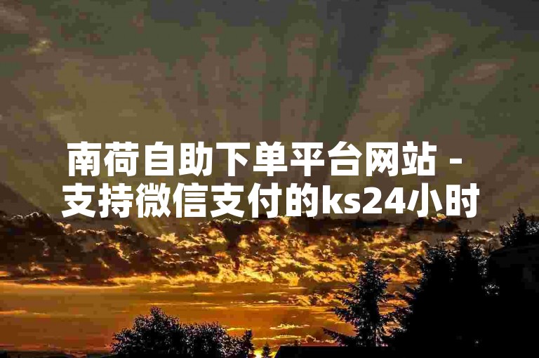 南荷自助下单平台网站 - 支持微信支付的ks24小时自助下单服务。