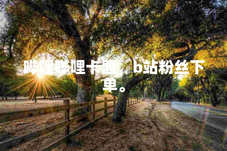 哔哩哔哩卡盟，b站粉丝下单。