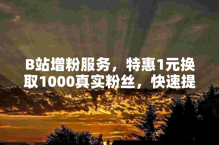 B站增粉服务，特惠1元换取1000真实粉丝，快速提升人气的优选平台。