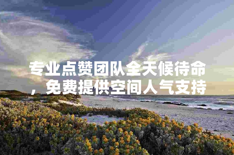 专业点赞团队全天候待命，免费提供空间人气支持。