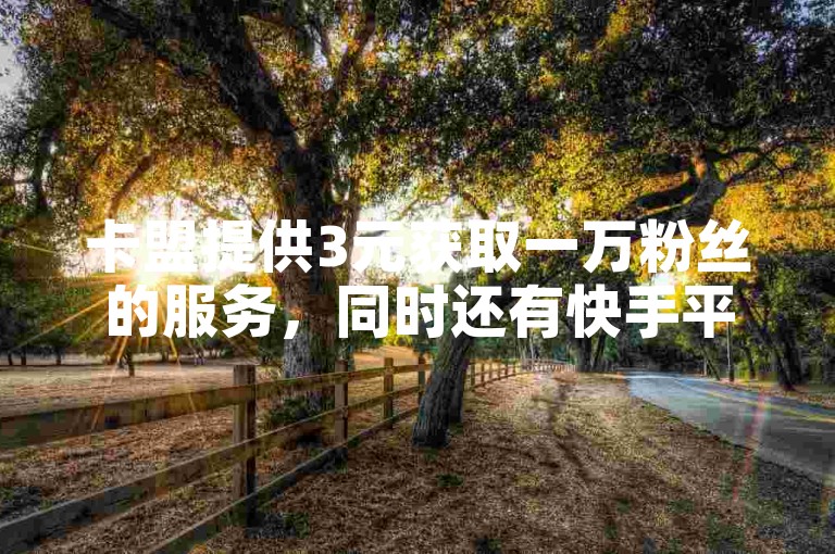 卡盟提供3元获取一万粉丝的服务，同时还有快手平台一毛钱刷点赞的优惠活动。