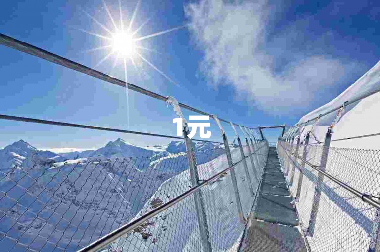 1元500粉丝快速增涨-全天候自助服务平台