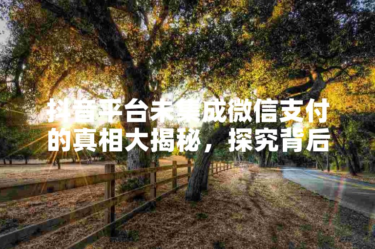 抖音平台未集成微信支付的真相大揭秘，探究背后的原因，2025年必备知识！