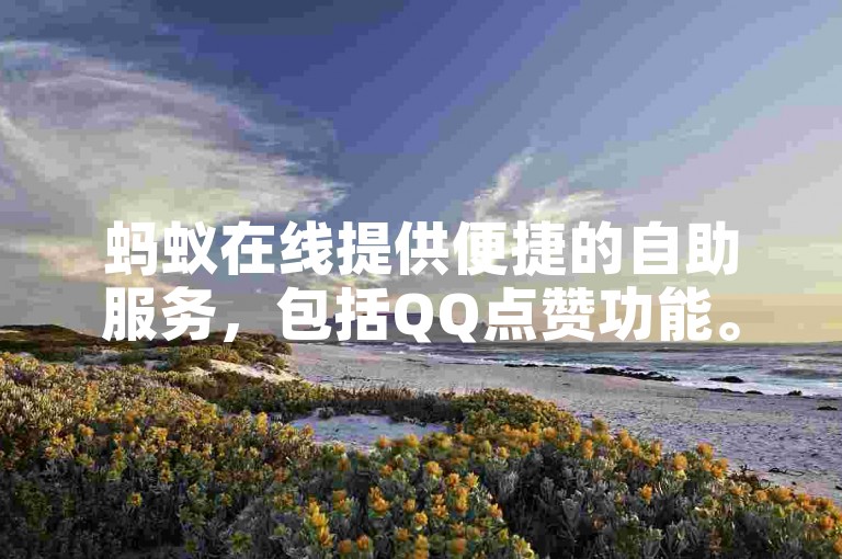 蚂蚁在线提供便捷的自助服务，包括QQ点赞功能。