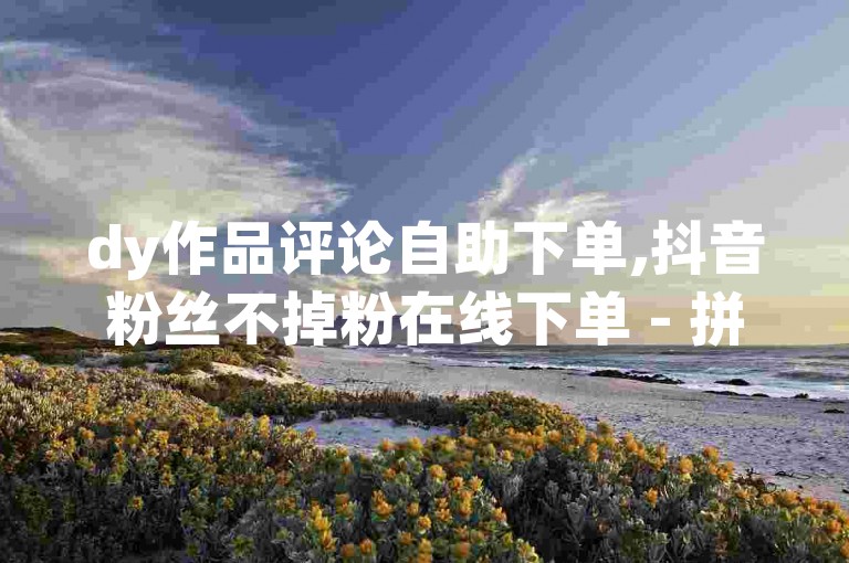 dy作品评论自助下单,抖音粉丝不掉粉在线下单 - 拼多多刷刀软件 - qq访客每天免费获取