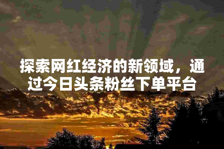 探索网红经济的新领域，通过今日头条粉丝下单平台以优惠价格获取热门商品，直接访问网红商城官方入口开启购物之旅。