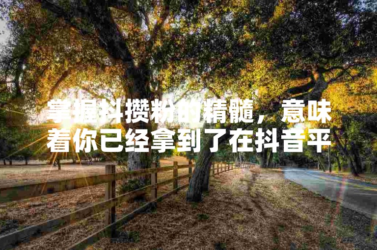 掌握抖攒粉的精髓，意味着你已经拿到了在抖音平台上迅速积累粉丝的钥匙。