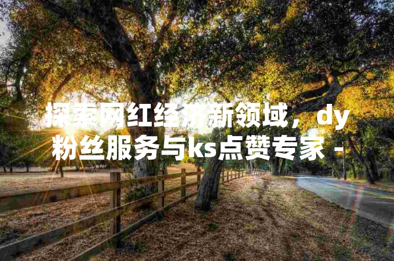 探索网红经济新领域，dy粉丝服务与ks点赞专家 - 云小店，提供全网最具性价比的社交平台增长方案，官网直销，微利策略颠覆市场!