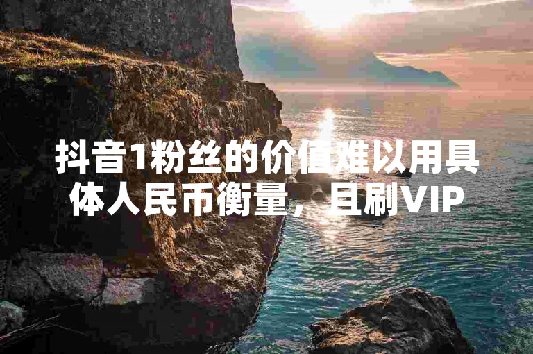 抖音1粉丝的价值难以用具体人民币衡量，且刷VIP会员卡盟的行为是违规的。
