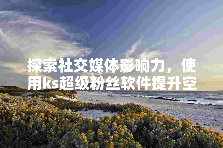 探索社交媒体影响力，使用ks超级粉丝软件提升空间访客数量。