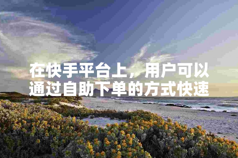 在快手平台上，用户可以通过自助下单的方式快速获得所需的服务。