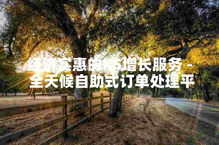 经济实惠的KS增长服务 - 全天候自助式订单处理平台。