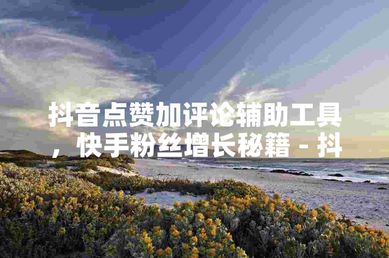 抖音点赞加评论辅助工具，快手粉丝增长秘籍 - 抖音业务下单24小时最低价 - 抖音点赞软件震撼发布！