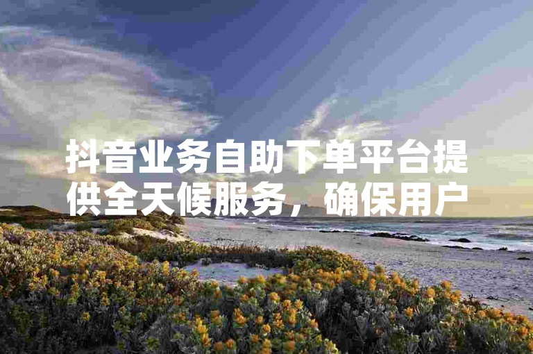 抖音业务自助下单平台提供全天候服务，确保用户能以最低价格享受24小时不间断的在线下单体验。