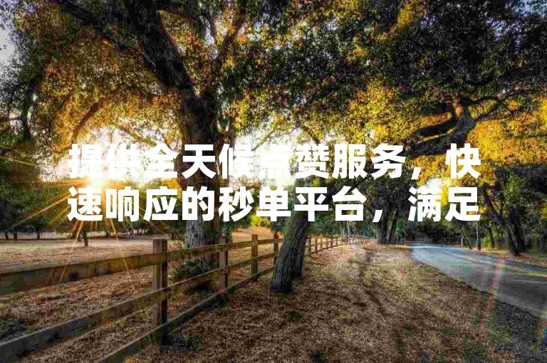 提供全天候点赞服务，快速响应的秒单平台，满足您随时的业务需求。