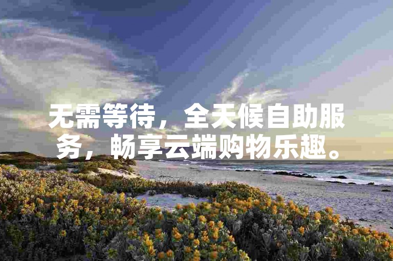 无需等待，全天候自助服务，畅享云端购物乐趣。