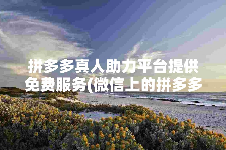 拼多多真人助力平台提供免费服务(微信上的拼多多真人助力平台免费使用)。