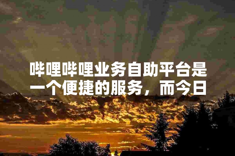 哔哩哔哩业务自助平台是一个便捷的服务，而今日头条粉丝下单平台则专注于帮助用户增加社交媒体关注者。