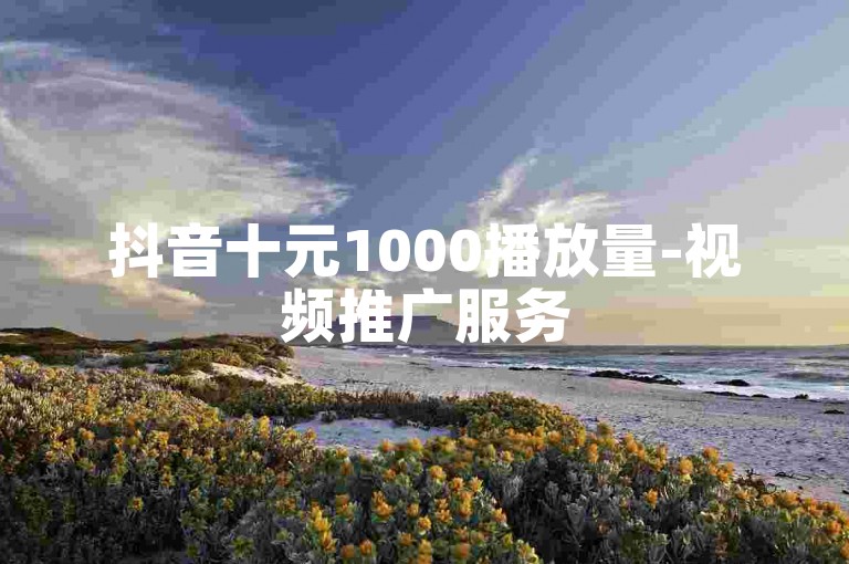 抖音十元1000播放量-视频推广服务