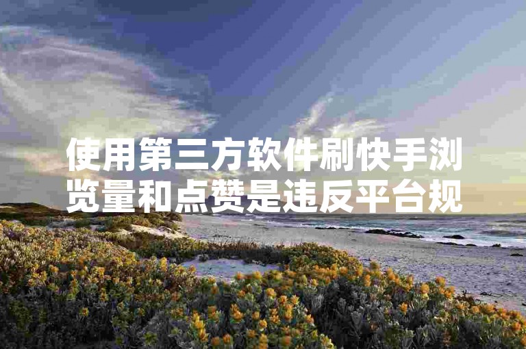 使用第三方软件刷快手浏览量和点赞是违反平台规定的行为，可能会带来账号被封禁等风险。