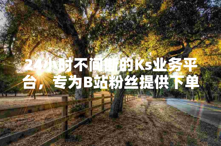 24小时不间断的Ks业务平台，专为B站粉丝提供下单服务。