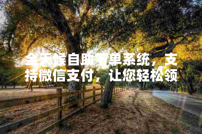 全天候自助下单系统，支持微信支付，让您轻松领取ks业务服务。