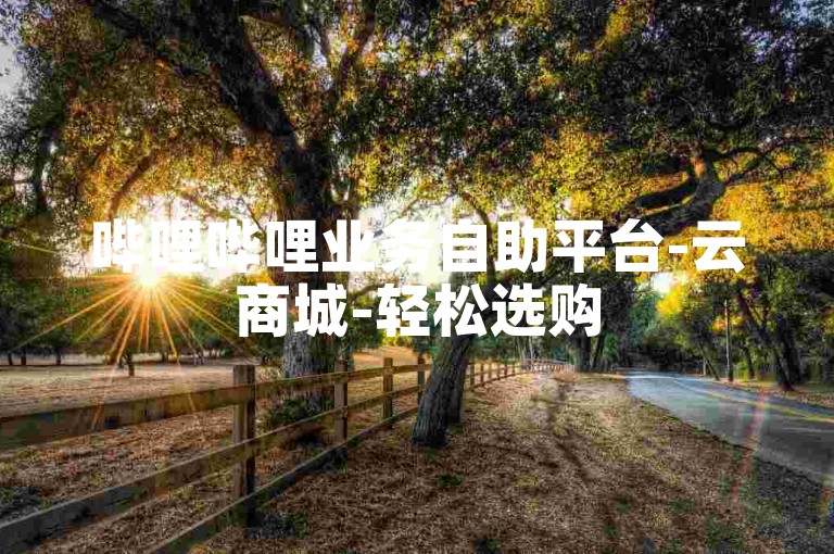 哔哩哔哩业务自助平台-云商城-轻松选购