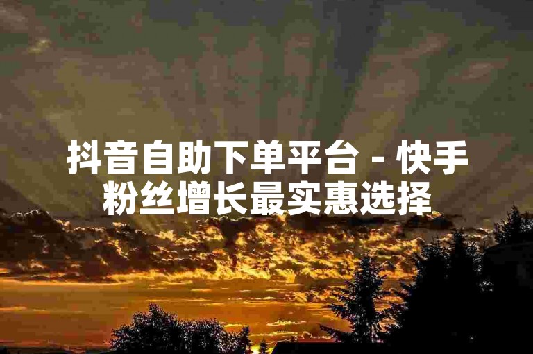 抖音自助下单平台 - 快手粉丝增长最实惠选择