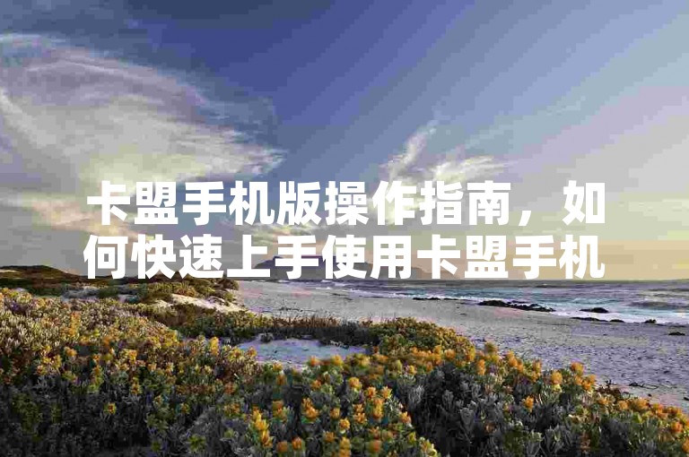 卡盟手机版操作指南，如何快速上手使用卡盟手机应用。