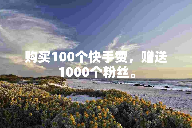 购买100个快手赞，赠送1000个粉丝。