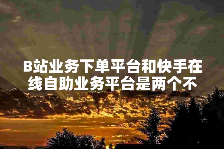 B站业务下单平台和快手在线自助业务平台是两个不同的服务渠道。