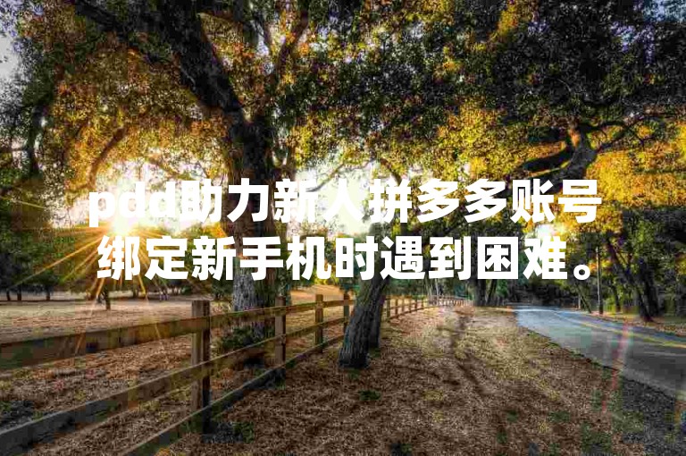 pdd助力新人拼多多账号绑定新手机时遇到困难。