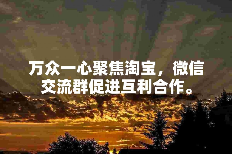 万众一心聚焦淘宝，微信交流群促进互利合作。