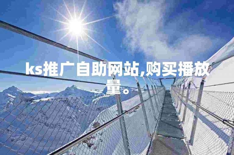 ks推广自助网站,购买播放量。