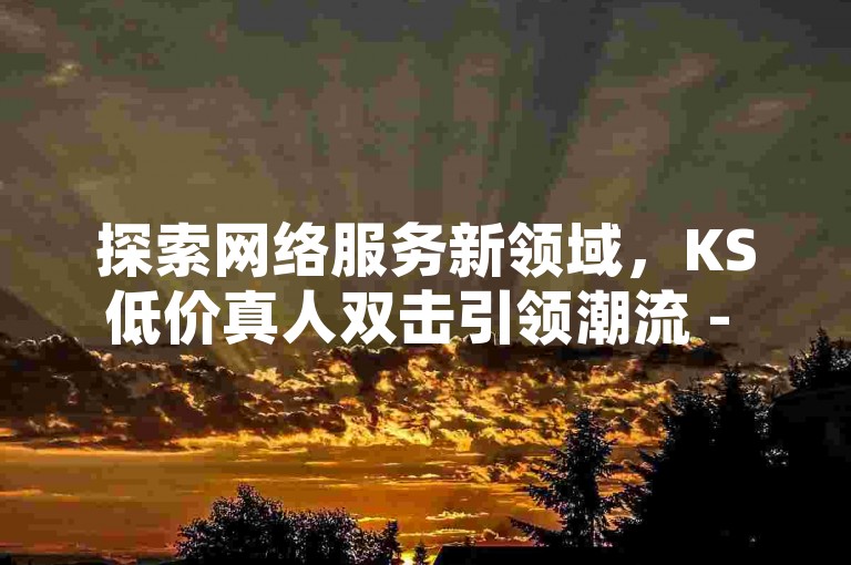探索网络服务新领域，KS低价真人双击引领潮流 - 精选自第一卡盟排行榜。