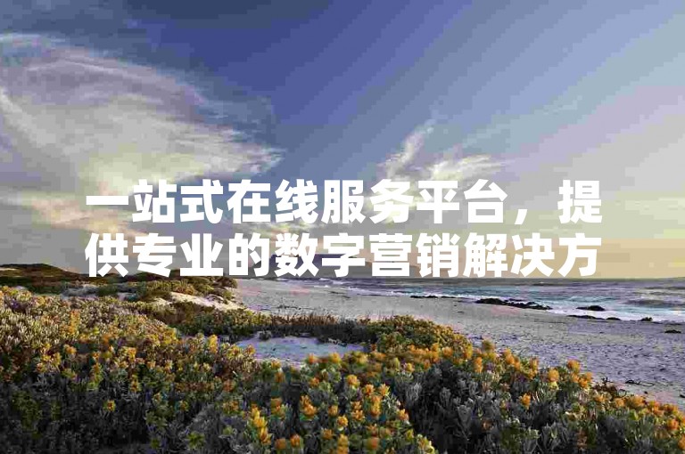 一站式在线服务平台，提供专业的数字营销解决方案。