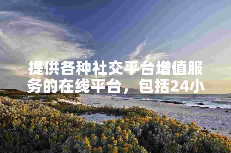 提供各种社交平台增值服务的在线平台，包括24小时QQ业务、抖音充值和点赞服务。