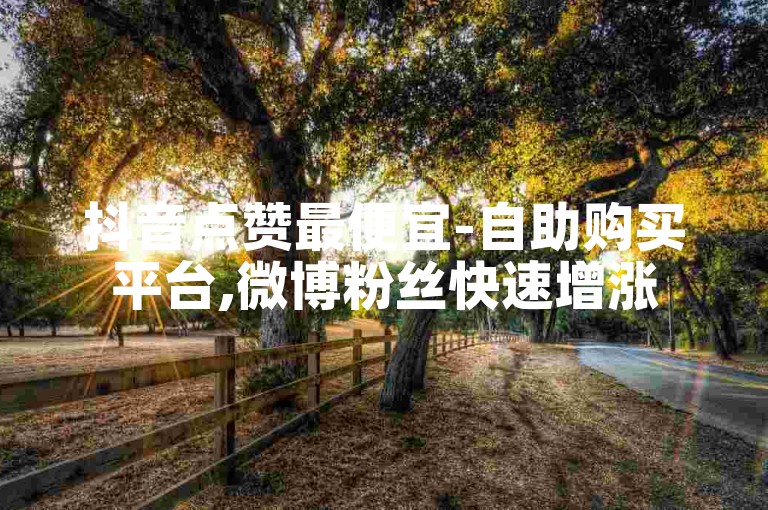 抖音点赞最便宜-自助购买平台,微博粉丝快速增涨