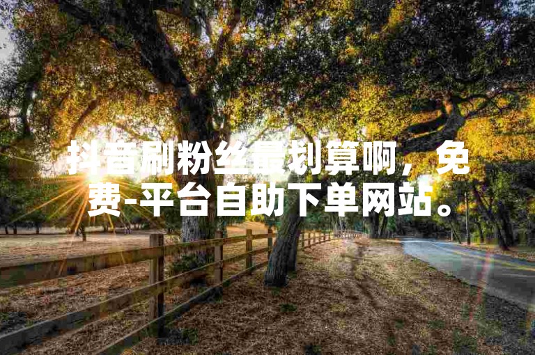 抖音刷粉丝最划算啊，免费-平台自助下单网站。