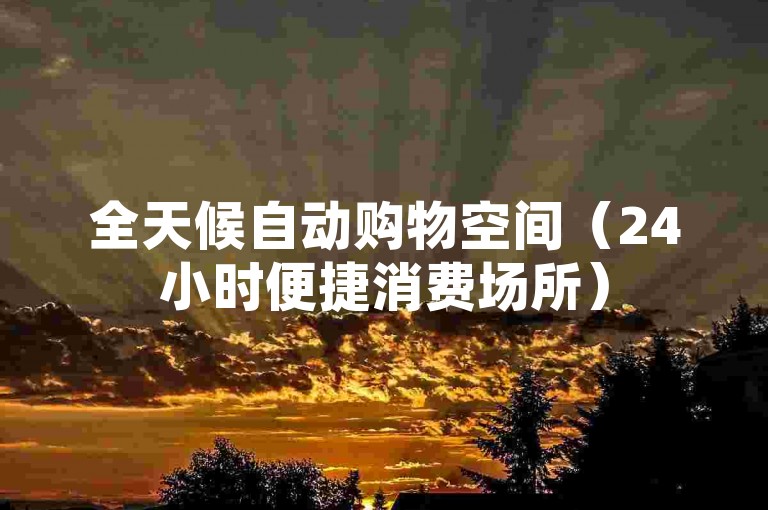全天候自动购物空间（24小时便捷消费场所）
