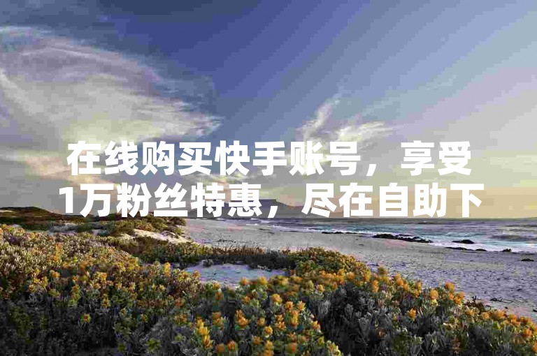 在线购买快手账号，享受1万粉丝特惠，尽在自助下单平台，快手点赞服务也同步提供。