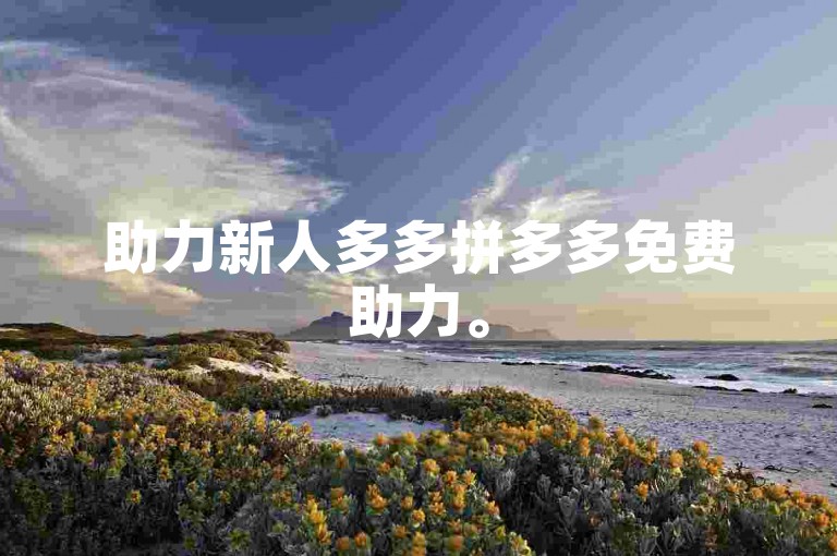 助力新人多多拼多多免费助力。