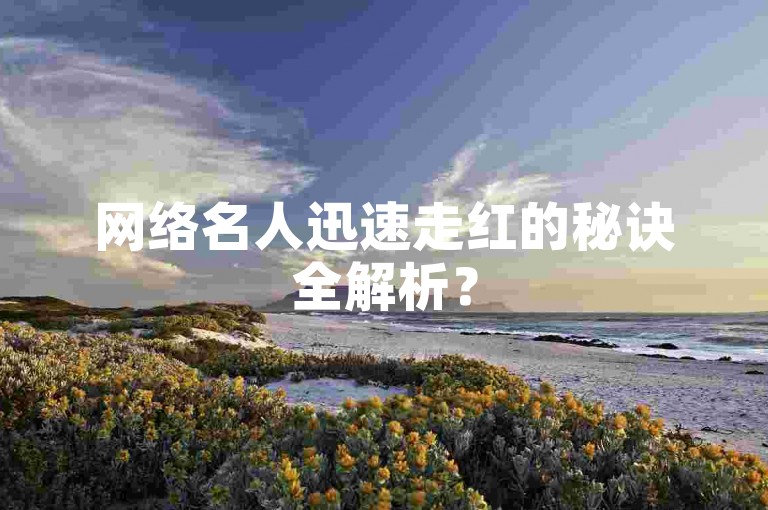 网络名人迅速走红的秘诀全解析？