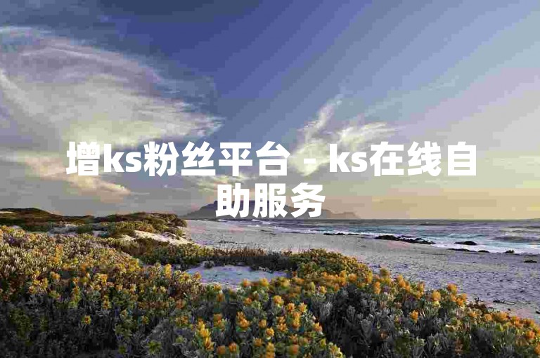 增ks粉丝平台 - ks在线自助服务