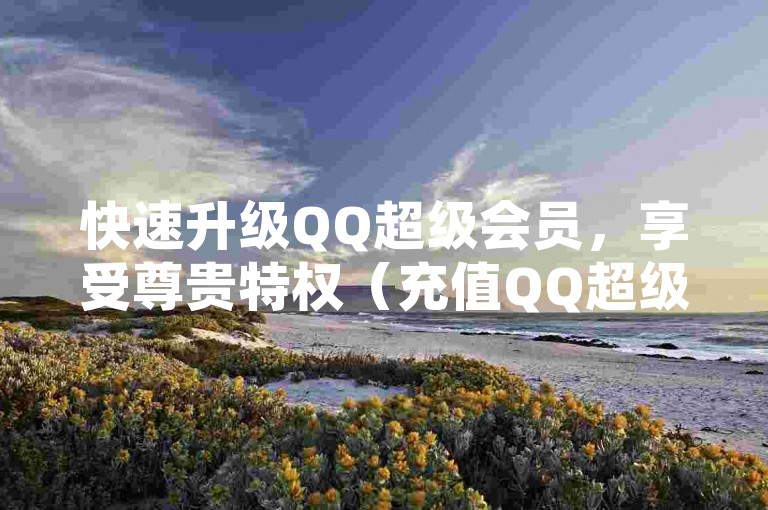 快速升级QQ超级会员，享受尊贵特权（充值QQ超级会员，最便捷方式）。